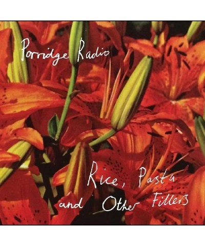 Porridge Radio Rice Pasta And Other Fillers Vinyl Record $8.50 Vinyl