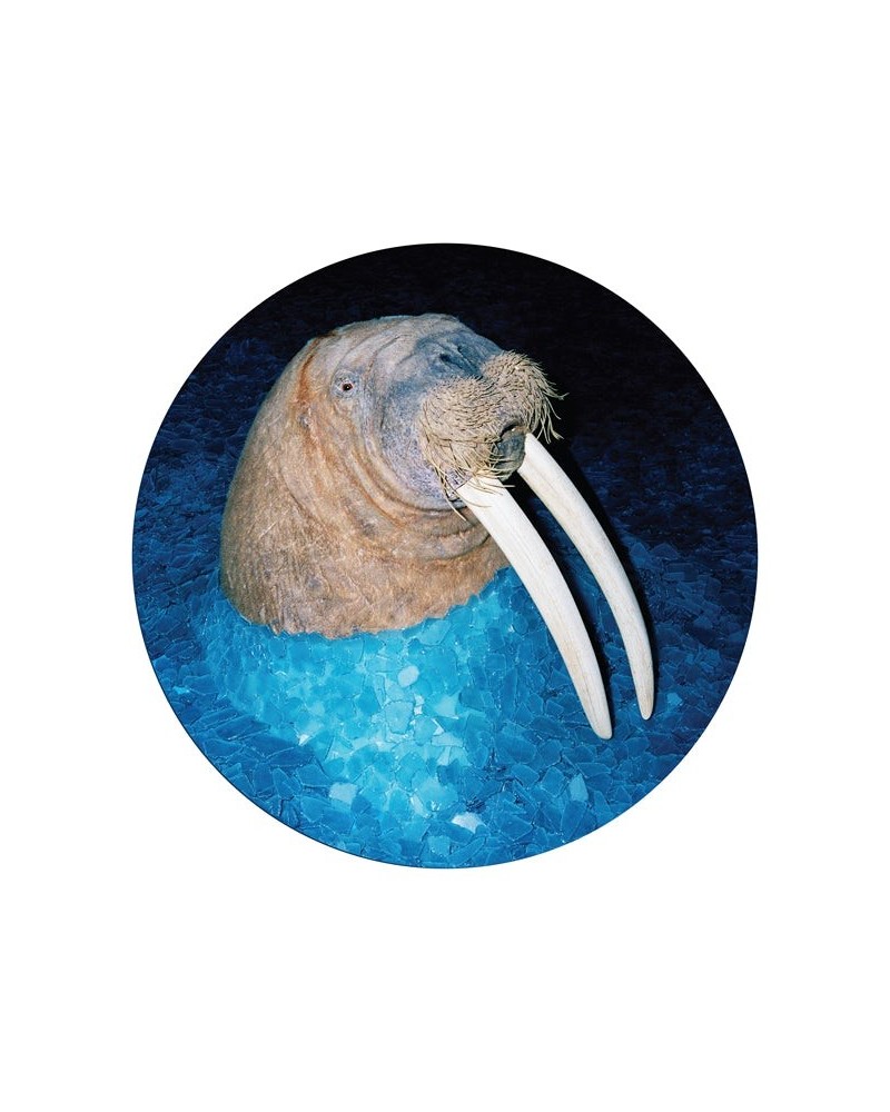 Tross WALRUS Vinyl Record $8.48 Vinyl