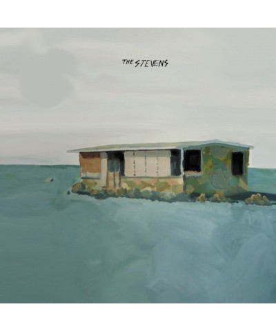 The Stevens Vinyl Record $4.49 Vinyl
