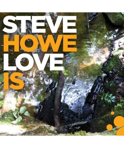 Steve Howe Love Is Vinyl Record $11.96 Vinyl