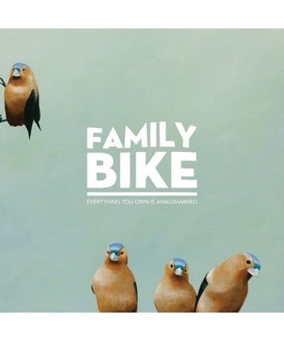 Family Bike Everything You Own Is Anagrammed Vinyl Record $5.90 Vinyl
